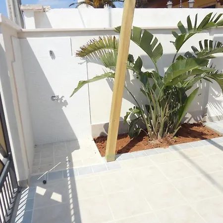 Daire Acton - Verso Sud *